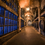 Blick in den Bremer Ratskeller - Weinhandel seit 1405 | Foto: Bremer Ratskeller