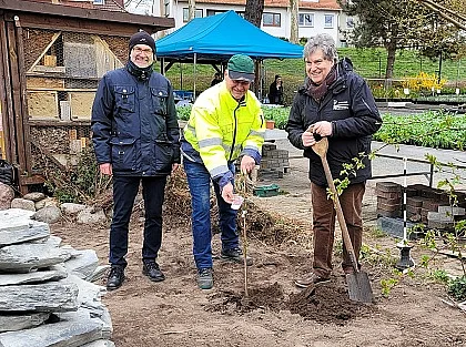 In der Martinshof-Gärtnerei in Bremen-Hastedt: Hans Horn, Geschäftsführer von Werkstatt Bremen, Wolfgang Rohde, zuständige Fachkraft für das Qualifizierungsmodul Garten- und Landschaftsbau der Werkstatt Bremen und Karl-Josef Krötz, Ratskellermeister (v.l.n.r.).