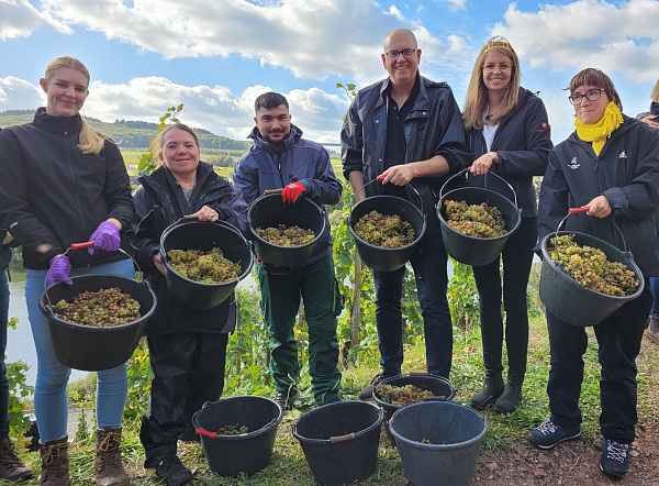 Ratskeller, Martinshof, Bürgermeister und Weinkönigin freuen sich über die erfolgreiche Senatswein-Lese im Bremer Weinberg an der Mosel.