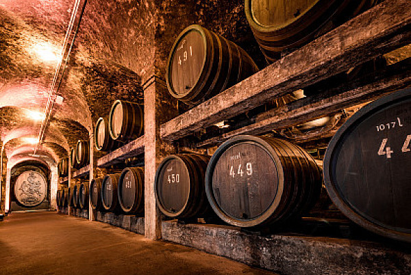 Historisches Gewölbe im Ratskeller mit alten Weinfässern