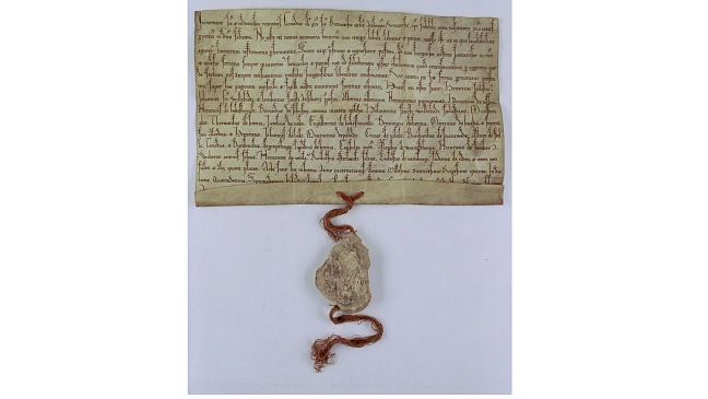 Urkunde, mit welcher Erzbischof Gerhard II. (1219 - 1258) die Bremer Bürger vom Zoll in Bremervörde befreite