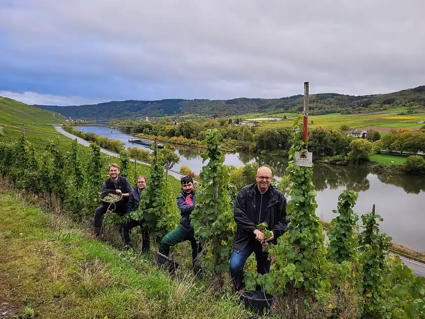 Weinlese 2022 an der Mosel (von links): Der neuer Ratskellermeister Frederik Janus, Beschäftigte des Martinshofes und Bürgermeister Bovenschulte.